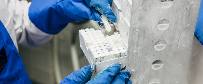 ラボにおける超低温保管サンプルの手引き