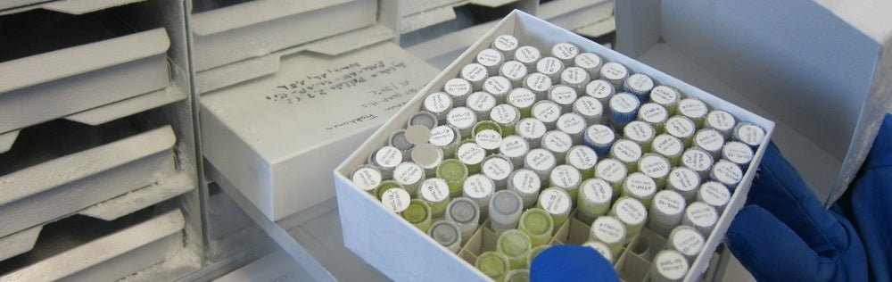 開発テーマ紹介 ~ プロジェクションマッピングを用いた超低温検体のピッキング