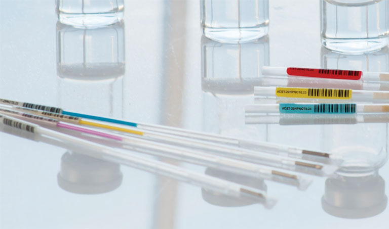 体外受精・不妊治療(ART/IVF)