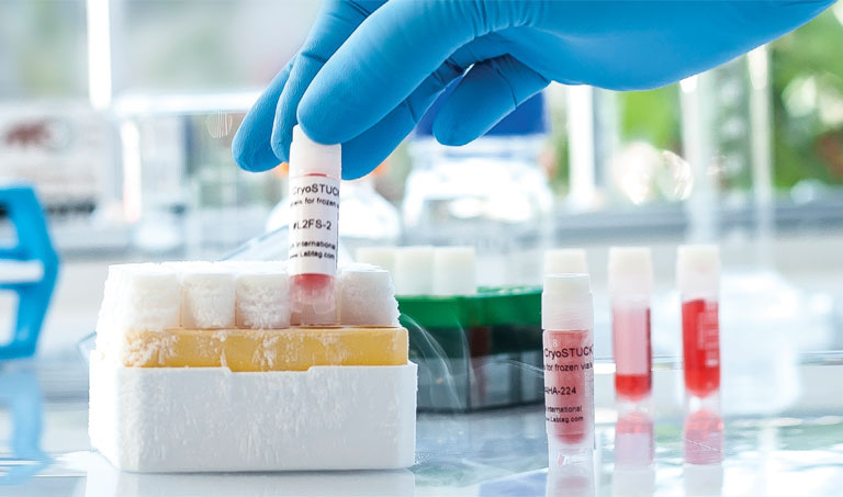 凍結保存ラベル