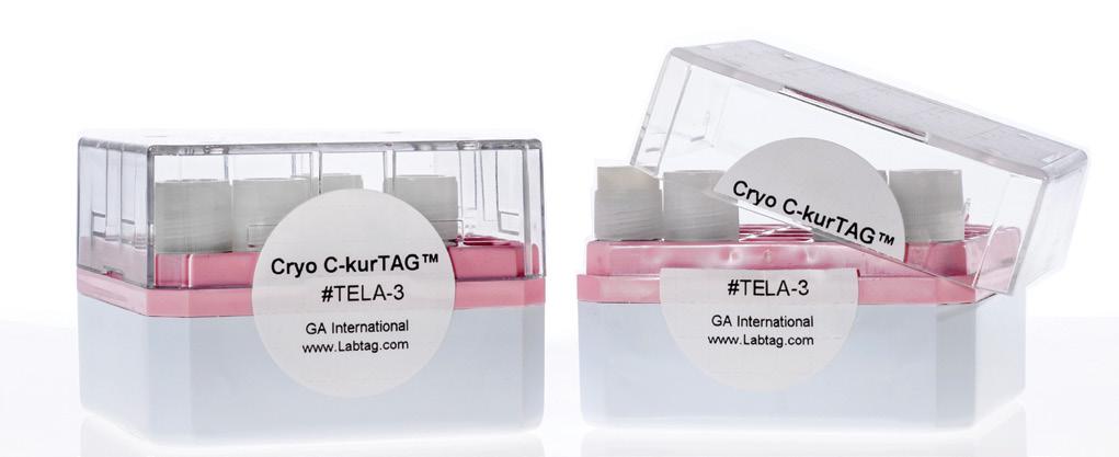 剥離証明・自己破壊