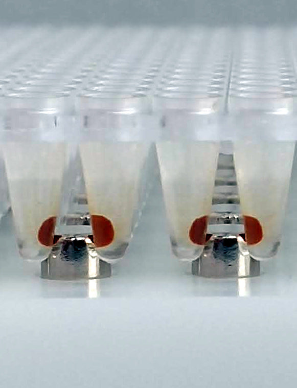 384LE Post Magnet Plate(384ウェルPCRプレート用・低溶出対応)