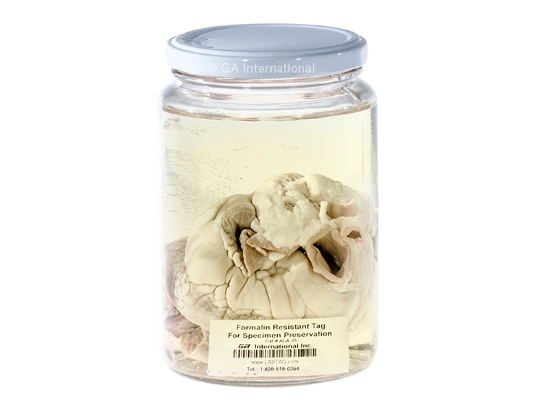 FormaliTAG™ 粘着剤不使用ホルマリン耐性タグ 25.4mm×38m #ALA-25