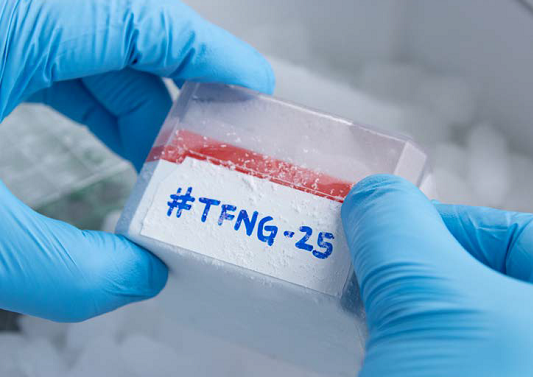 GatorCUT™ 凍結面対応フリーカットラボテープ 13mm幅 #TFNG-13SB