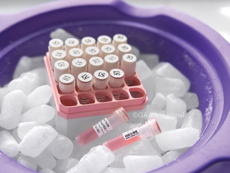 NitroTAG® SnapPEEL 超低温対応ラベル (液体窒素容器用) 28.6×19.1mm+11mm(円形) #JTTA-562SB
