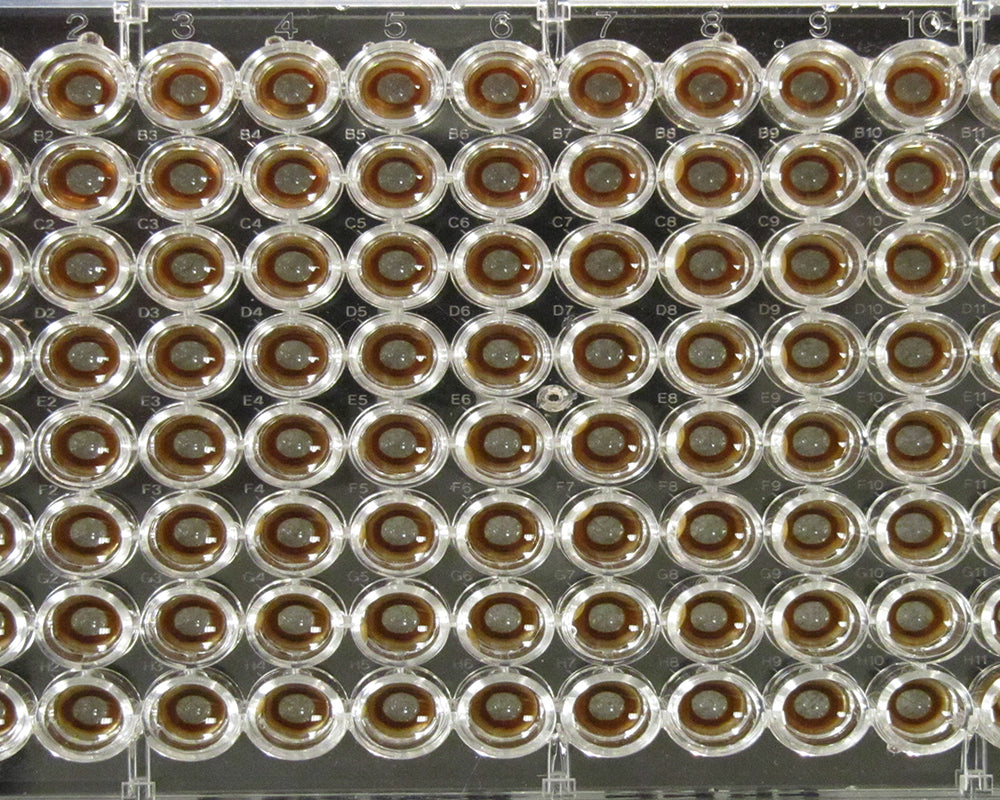 96S Super Magnet（96ウェルプレート用）