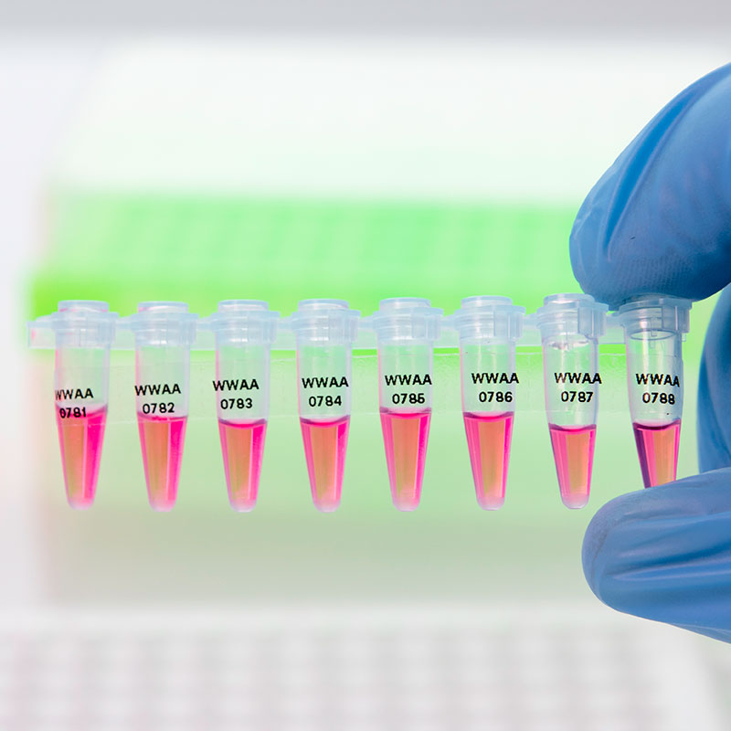 PCR-TAG™ 超低温対応 透明ラベル (PCRチューブ&8連ストリップ用) 76.2×6.4mm