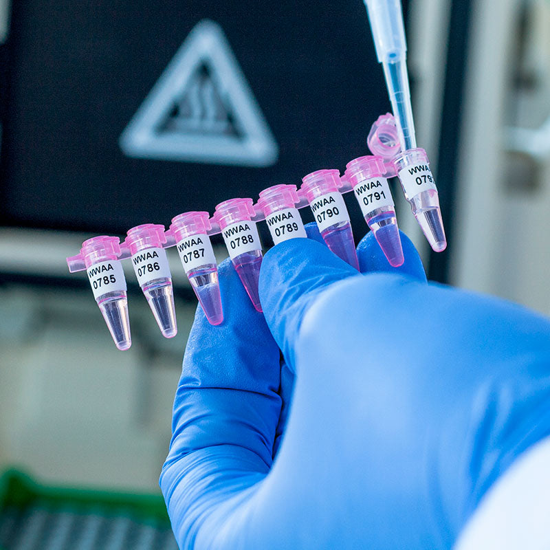 PCR-TAG™ 超低温対応ラベル 76.2×6.4mm (PCRラベル×8) #FJT-269