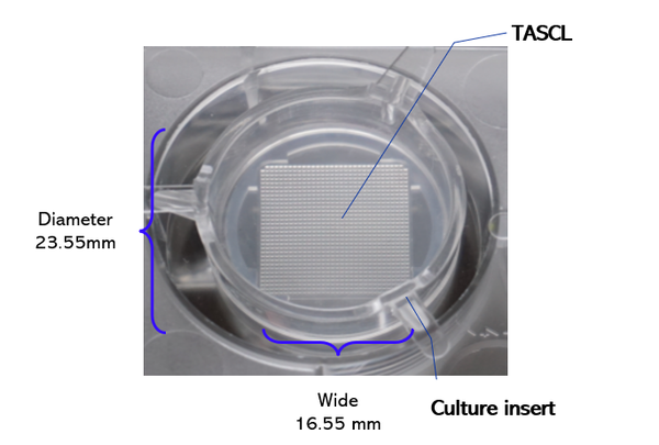 TASCL-1_600x600_crop_center.